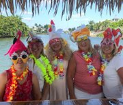 tiki boat tours naples - image