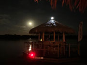 tiki boat tours naples - image