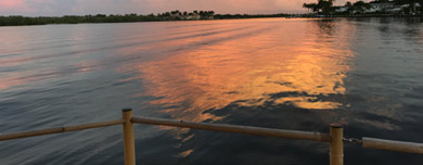 tiki boat tours naples - image